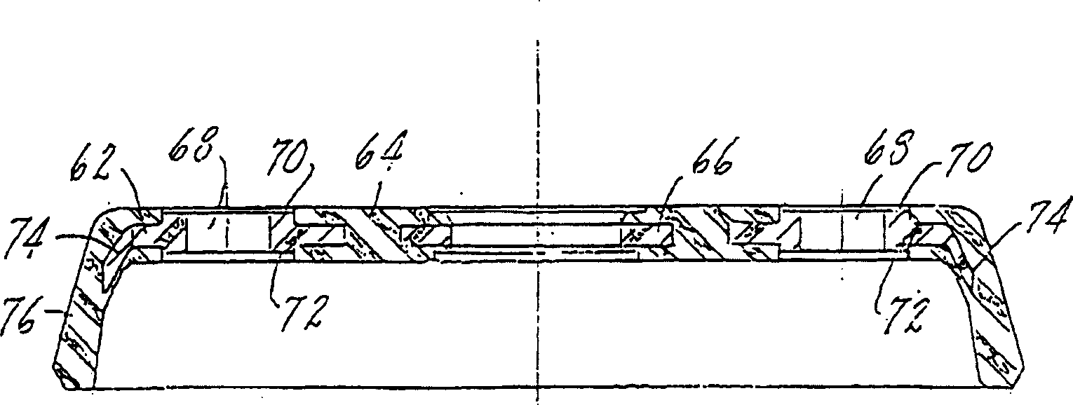 Lip sealing device for piston flushing valve