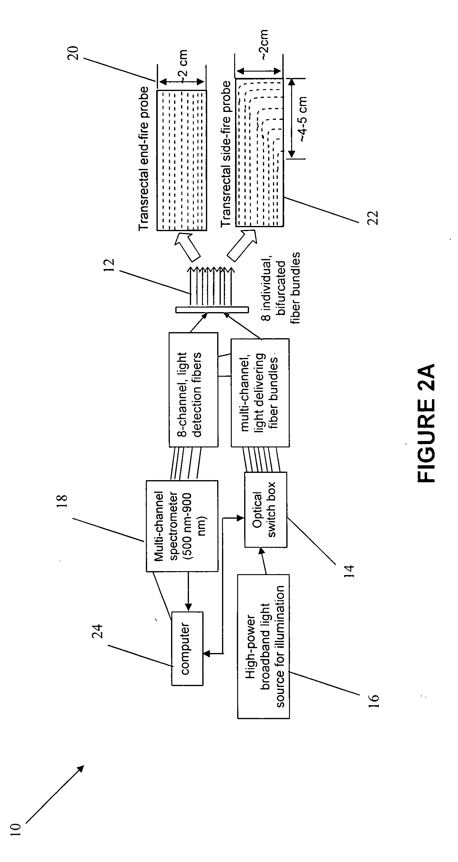 Near infrared transrectal probes for prostate cancer detection and prognosis