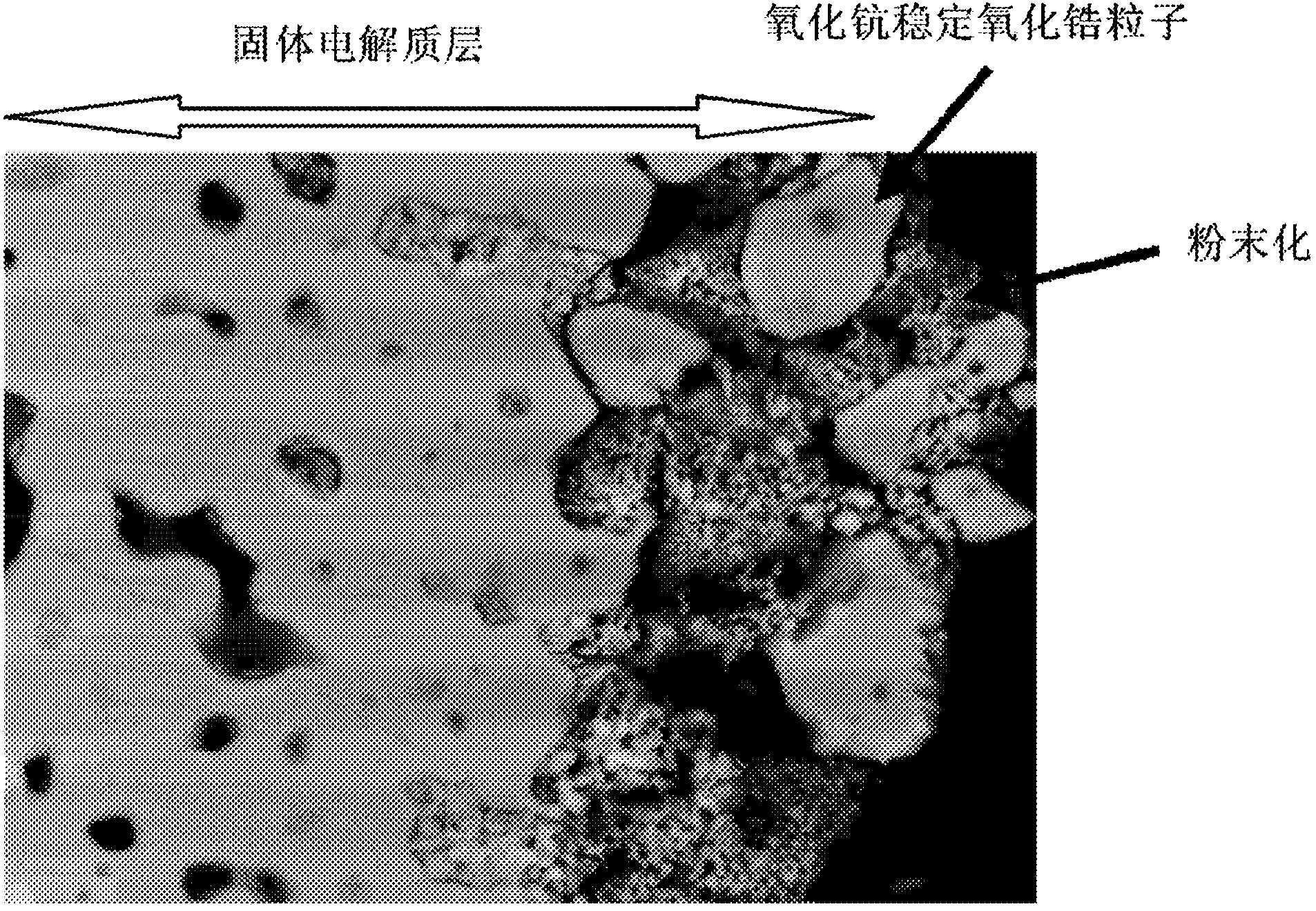 Solid electrolyte material and solid oxide fuel cell provided with same