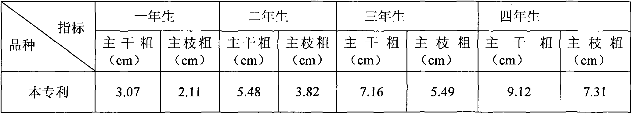 Cultivation method for pruning fig to be in line-shaped tree form