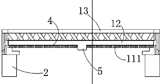 Vegetable planting device