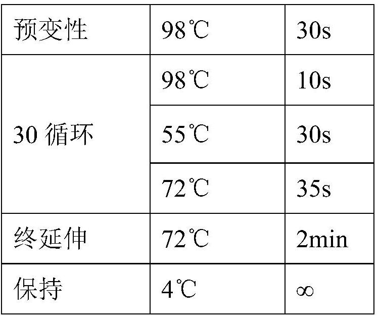 Application of Hot1p as positive regulatory factor in improvement of protein expression in host cells