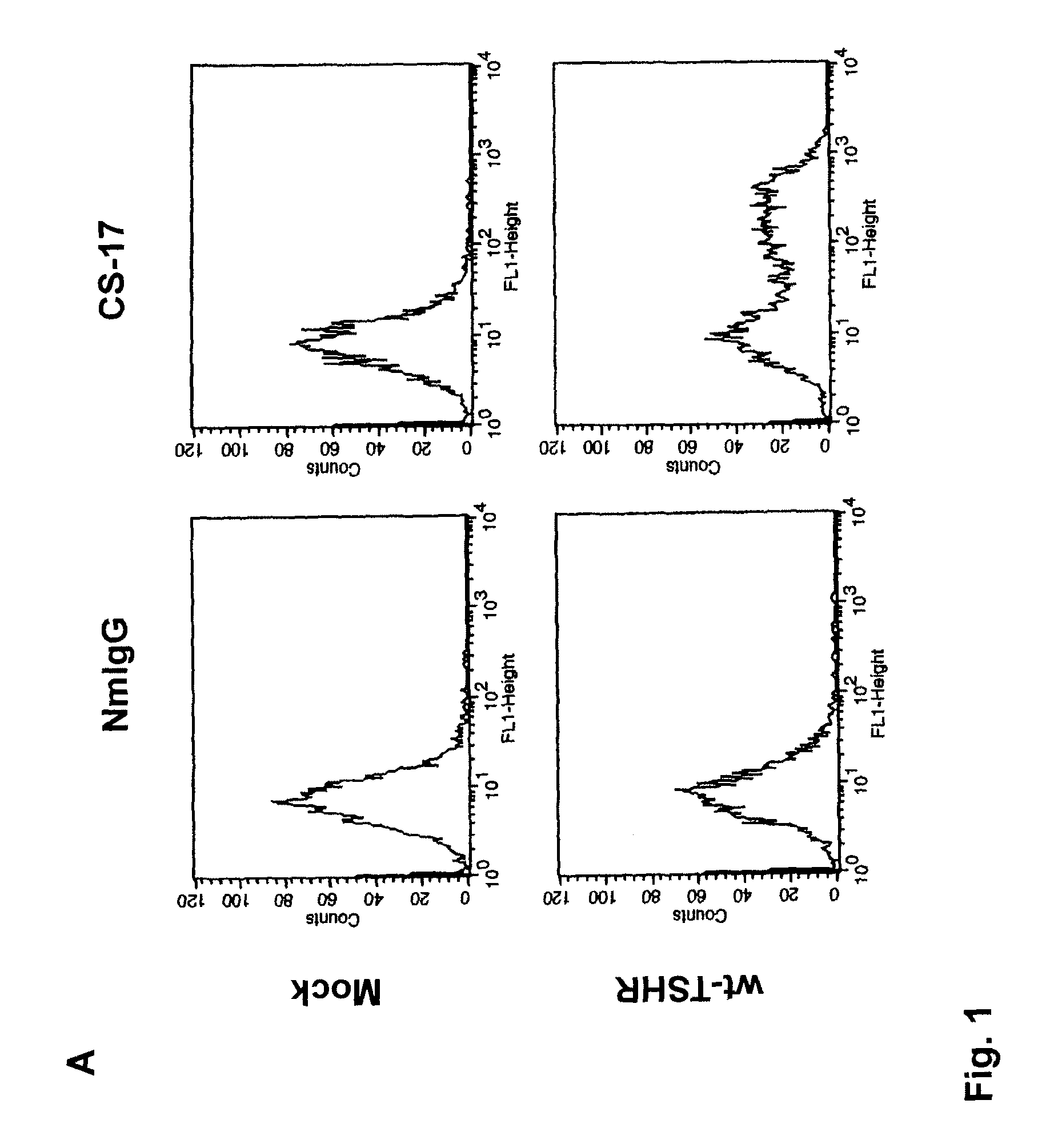 Inverse agonist monoclonal antibody that suppresses thyrotropin receptor constitutive activity