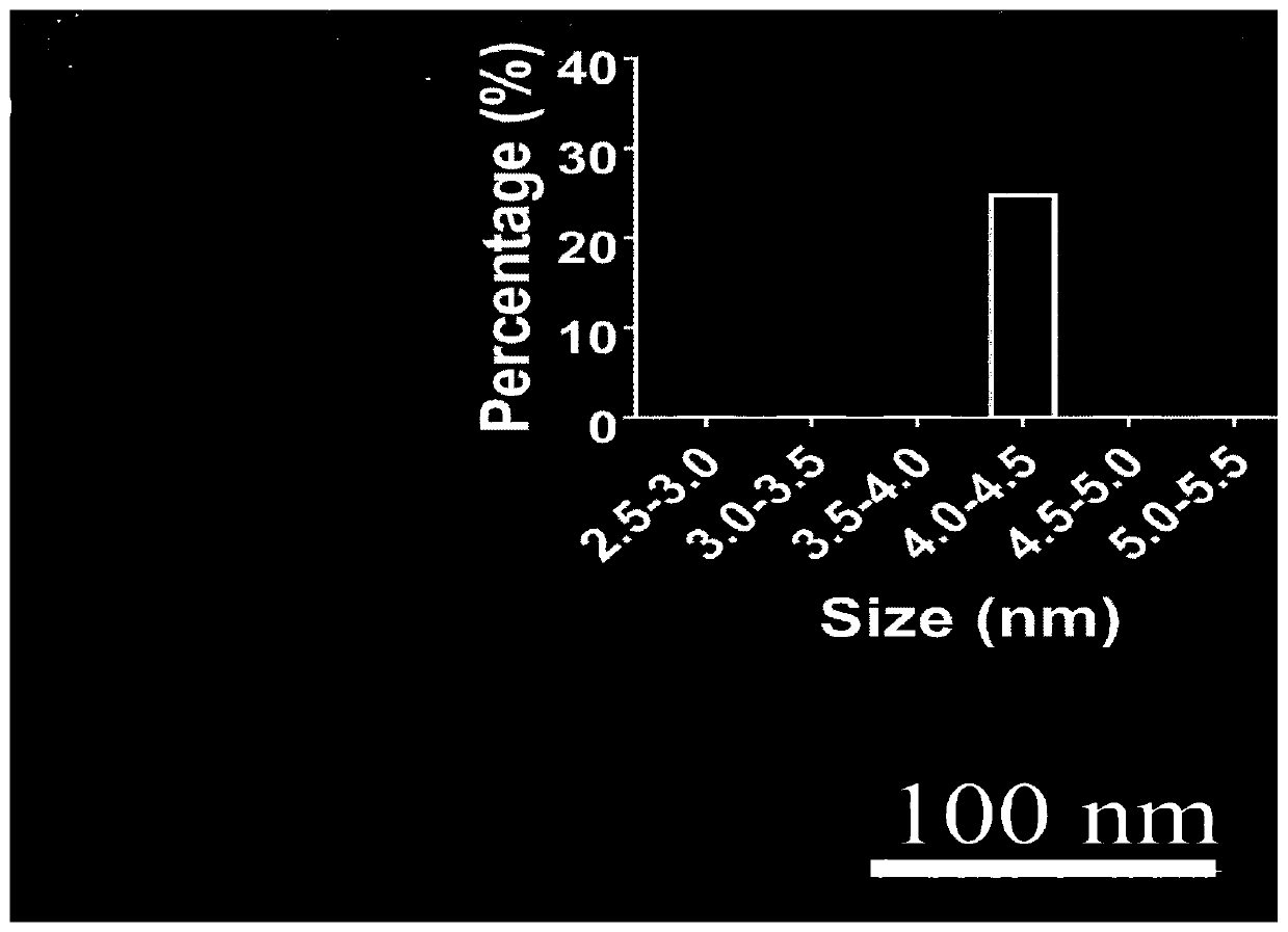 Ultra-small gold nanoparticle for tumor cell mitochondria targeting and rapid kidney metabolism