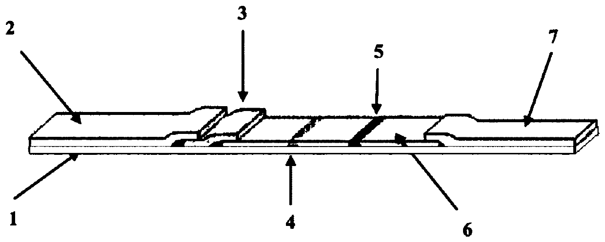 C-reactive protein colloidal gold detection reagent card and preparation method thereof