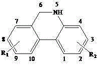 5,6-dihydrophenanthine compound and preparation method thereof