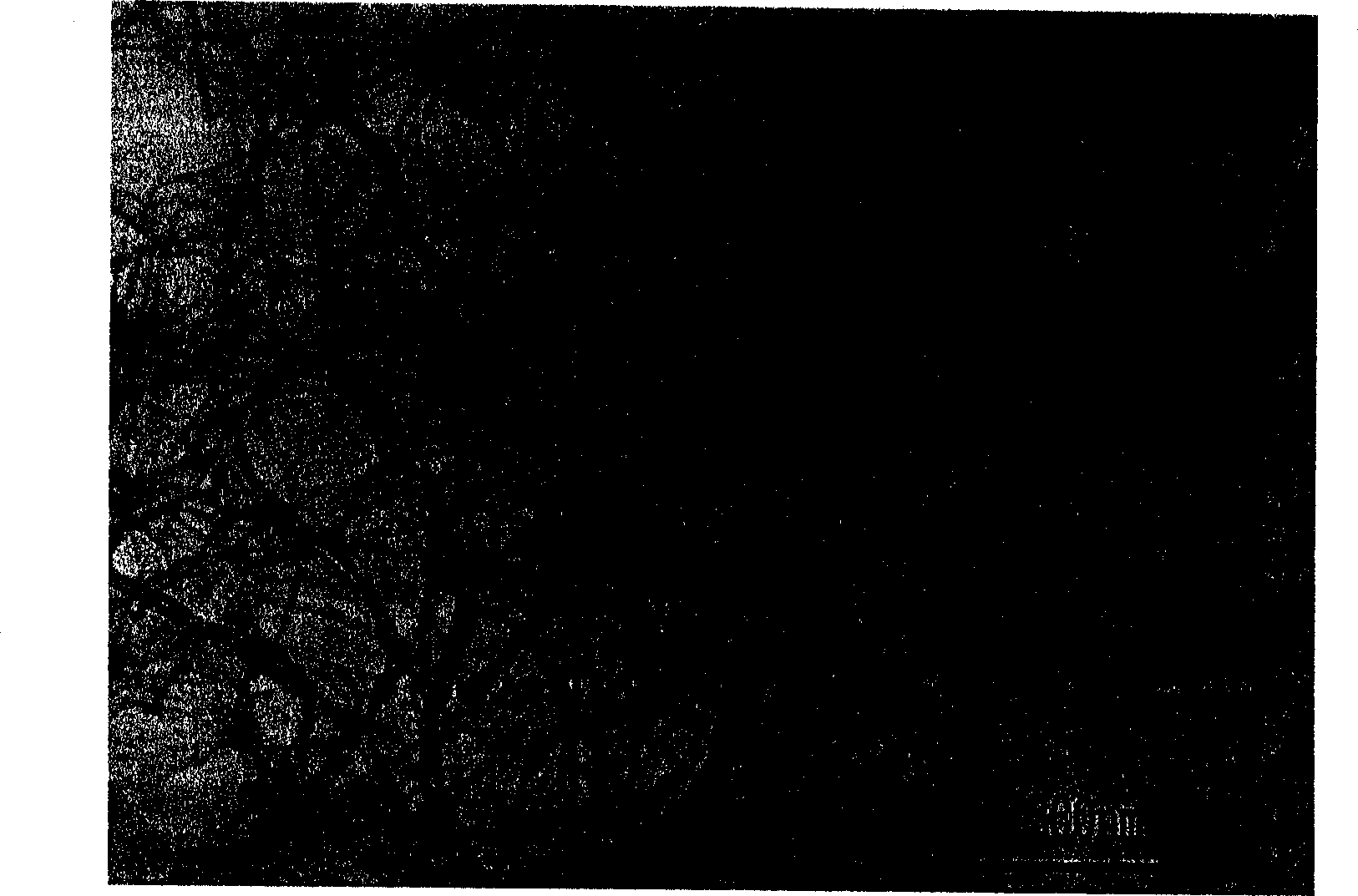 Reduction process of preparing nano cuprous oxide wire