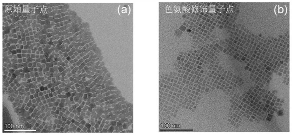 Multifunctional ligand modified mixed halogen perovskite quantum dot and application thereof