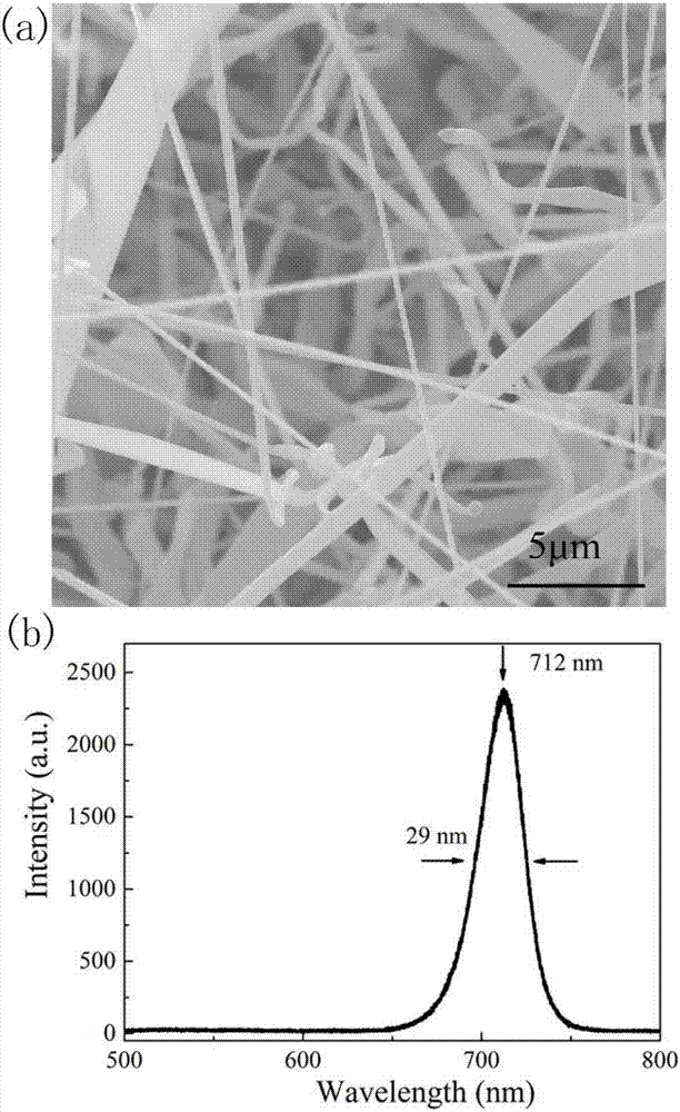 Ferroelectric gate dielectric CdSe nanowire photoelectric transistor and preparation method thereof