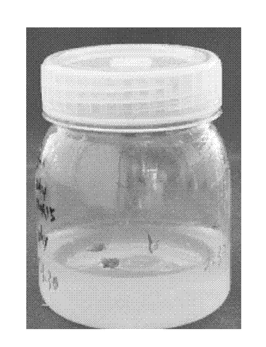 Method for inducing protocorms by utilizing dendrobe tissues