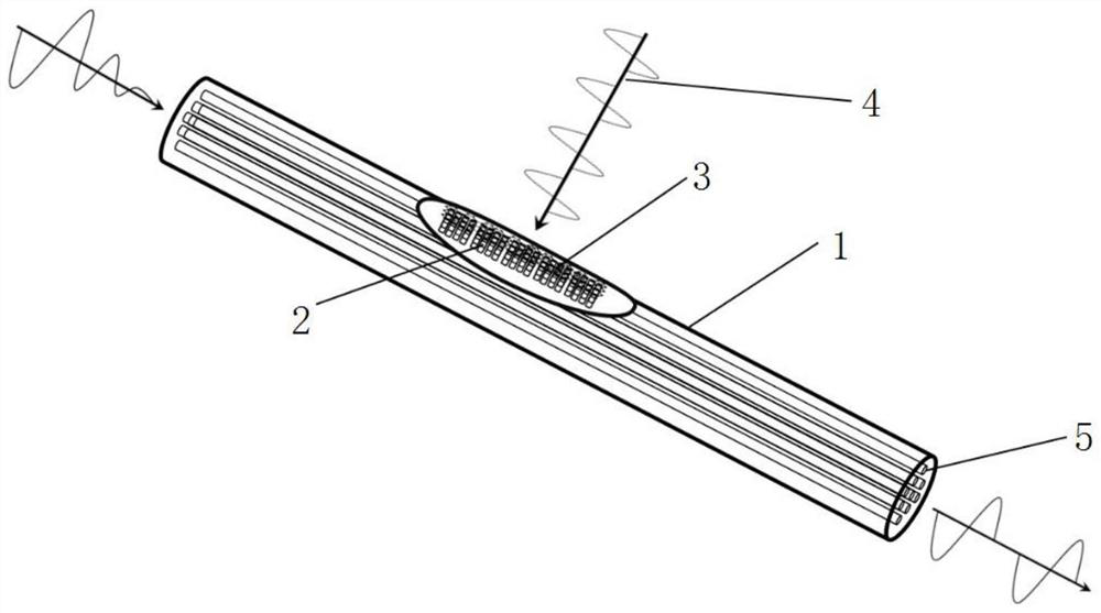 Light-operated terahertz optical fiber modulator and light amplitude modulation method thereof