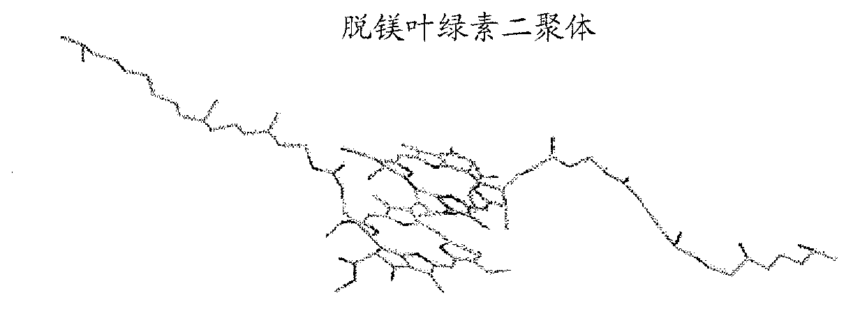 Assay For Phytol-free Chlorophyll Derivatives