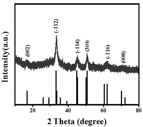 Ni for a supercapacitor  <sub>3</sub> the se  <sub>4</sub> Preparation method of nanowire