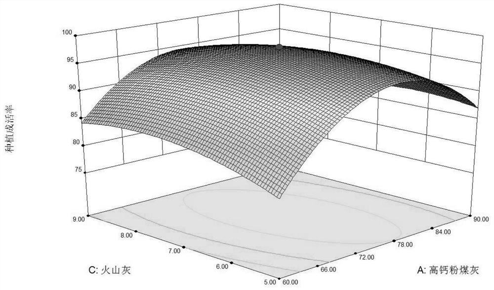 A kind of curing agent for solid waste treatment and its application