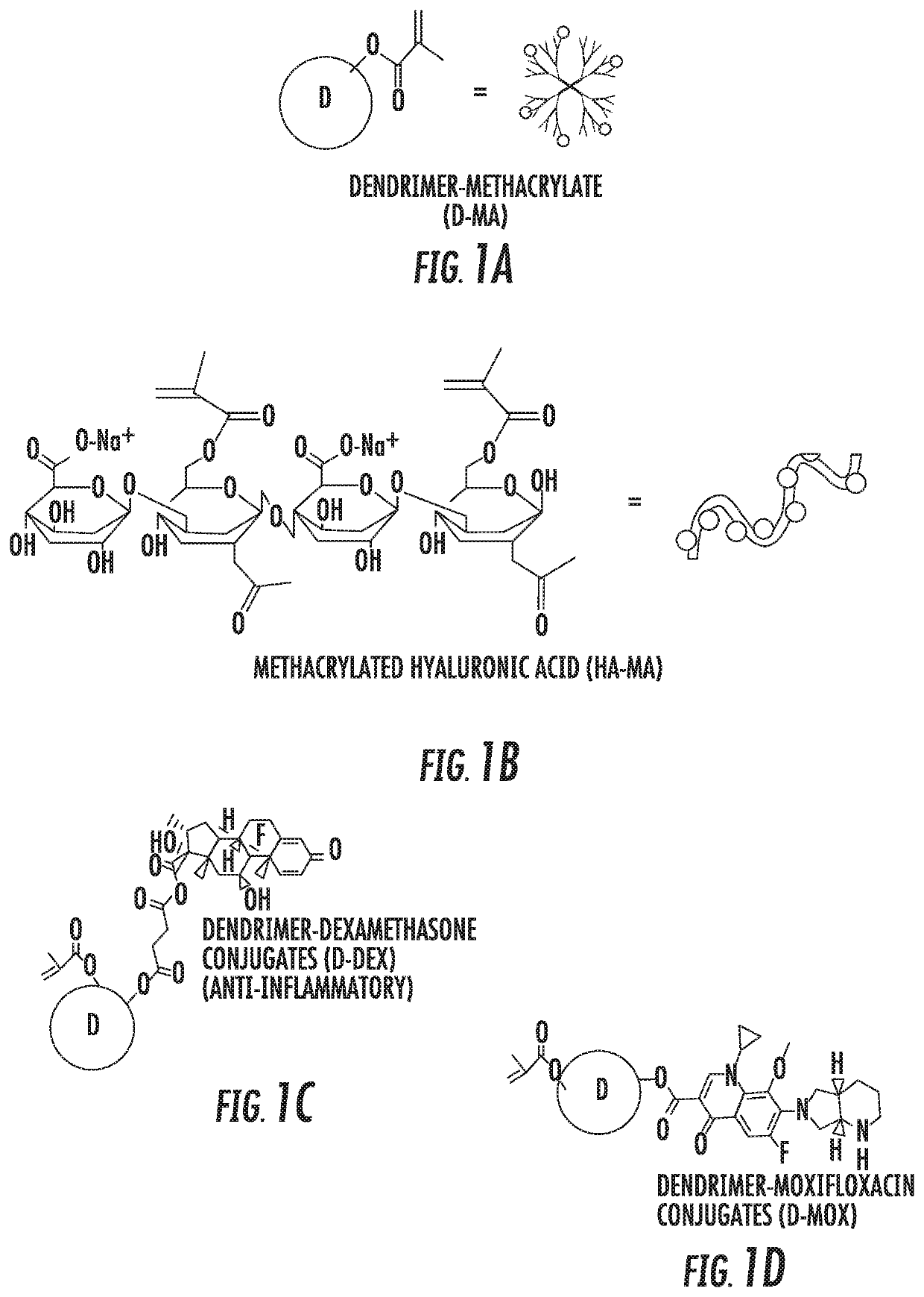 Dendrimer-bioadhesive polymer hydrogel nanoglue and use thereof