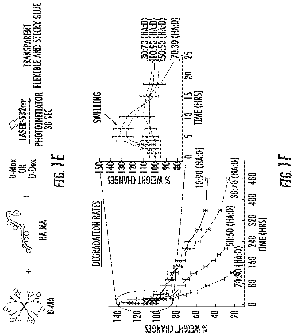 Dendrimer-bioadhesive polymer hydrogel nanoglue and use thereof