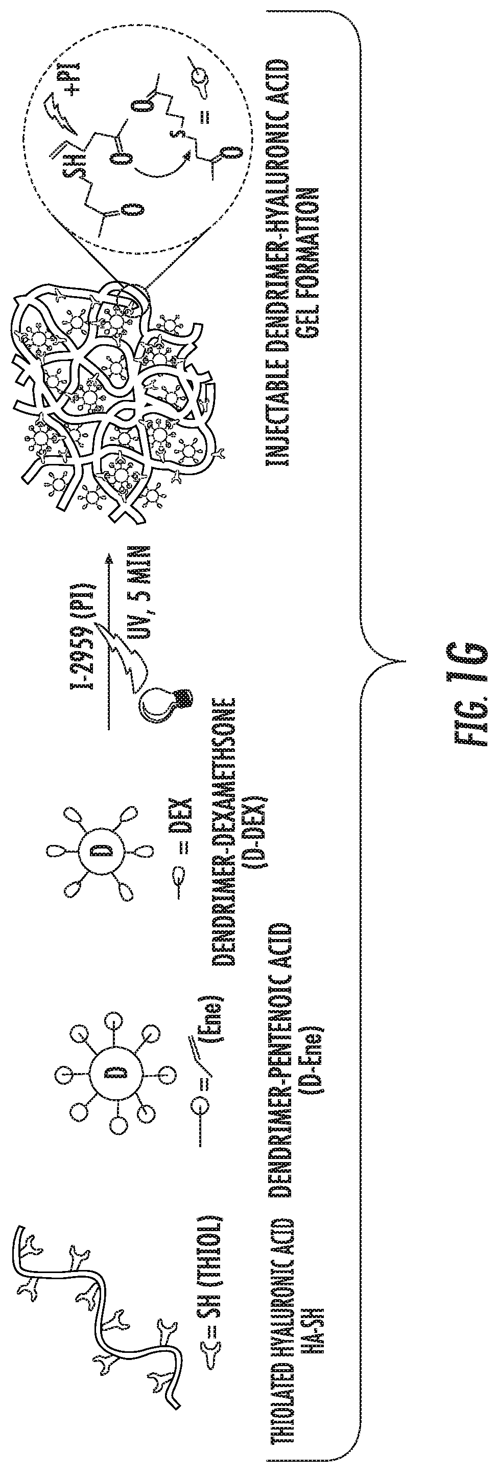 Dendrimer-bioadhesive polymer hydrogel nanoglue and use thereof