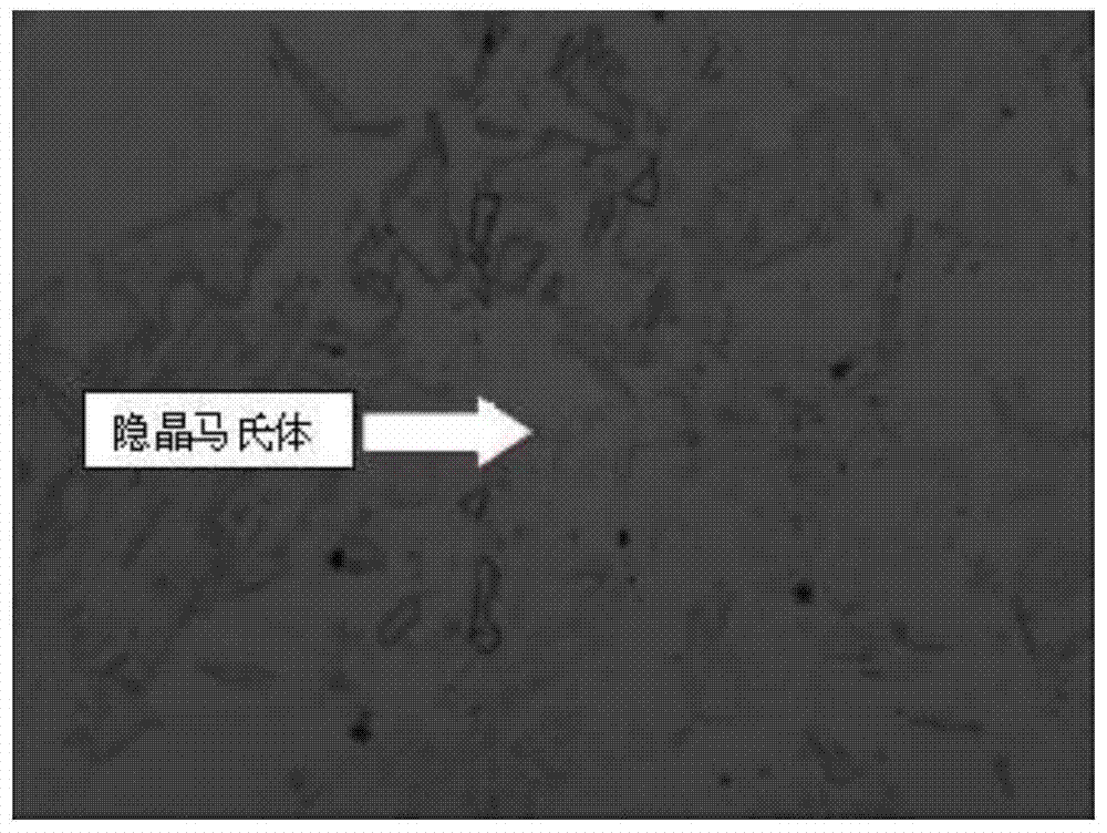 A preparation method of oxide dispersion strengthened steel and a kind of martensitic steel