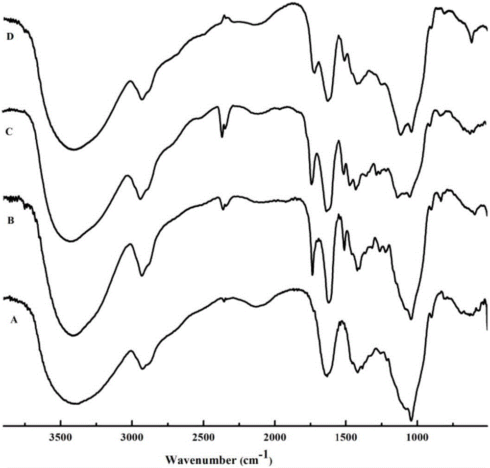 Multifunctional araboxylan and preparation method thereof