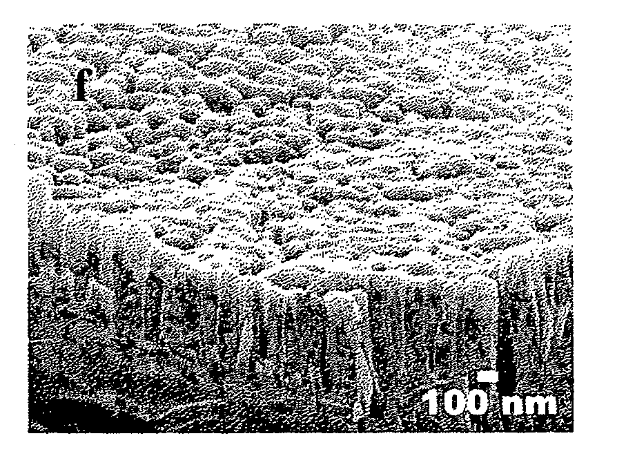 Vertical aligned nano-scale diamond structure and process for fabricating the same