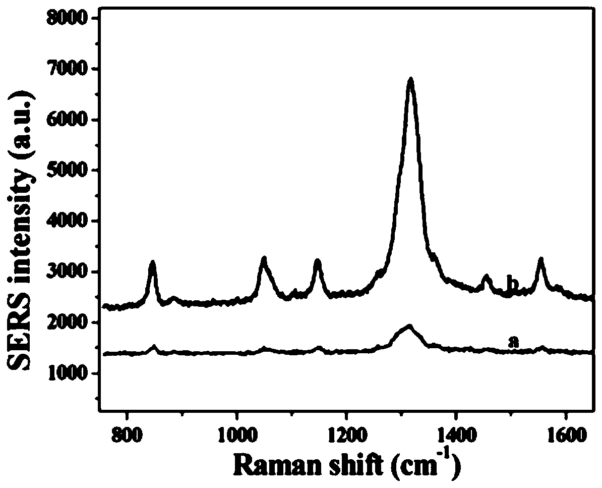 Novel Raman probe and preparation method thereof