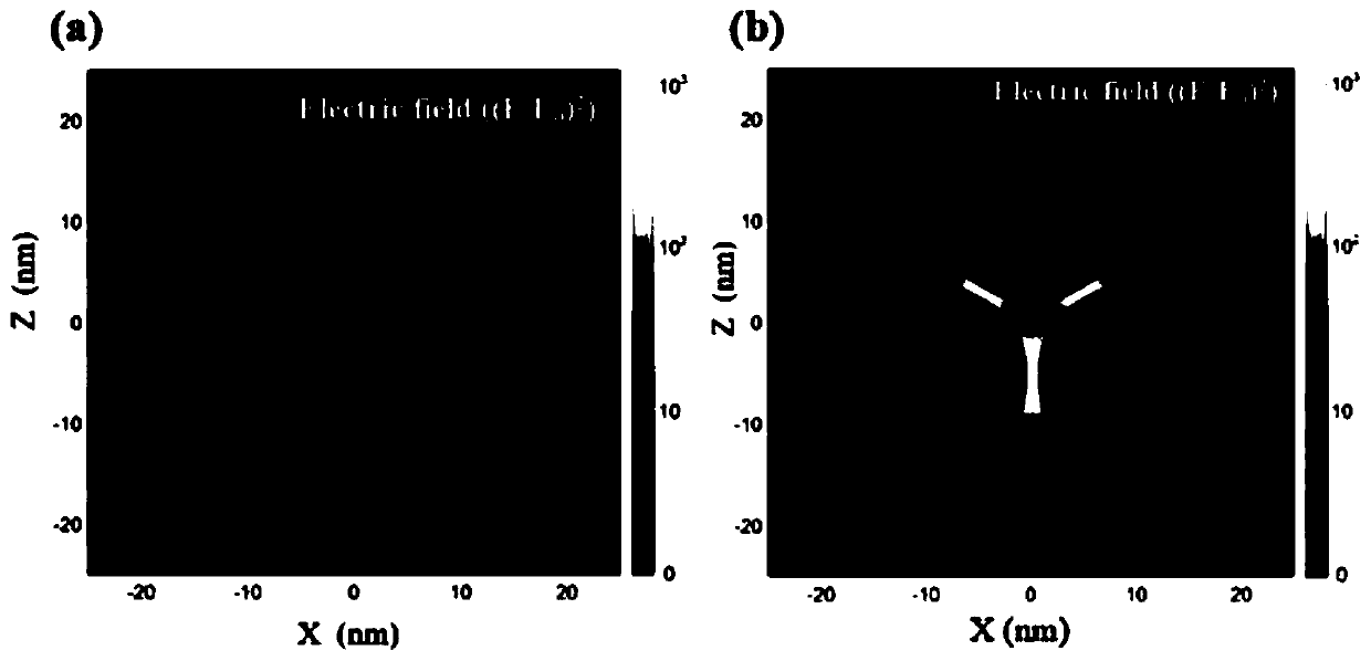 Novel Raman probe and preparation method thereof