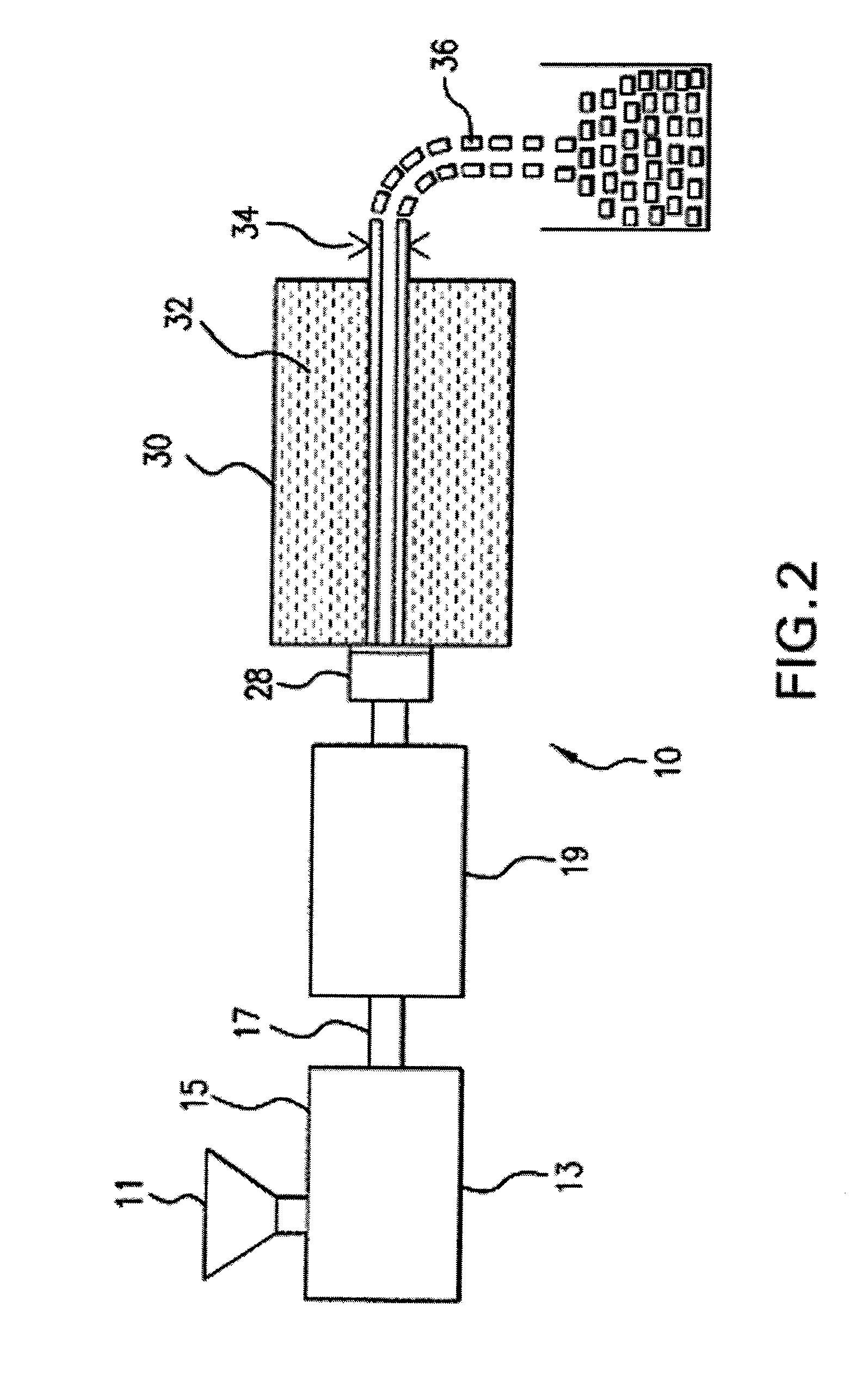 Polymer Blends Of Biodegradable Or Bio-Based And Synthetic Polymers And Foams Thereof