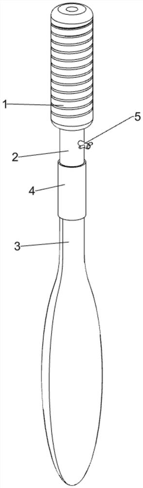 Auxiliary device for scaling fish