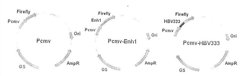 Novel double promoter structural unit