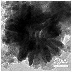 Preparation method of CuS@Cur hybrid hydrogel dressing with light-operated antibacterial and self-healing functions