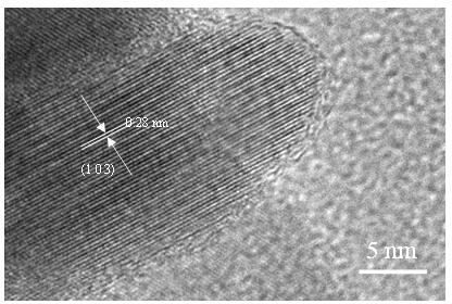 Preparation method of CuS@Cur hybrid hydrogel dressing with light-operated antibacterial and self-healing functions