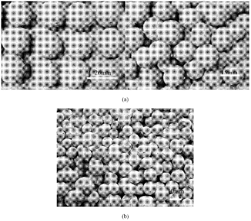 Spherical haydite matrix for constructed wetland and its preparation method