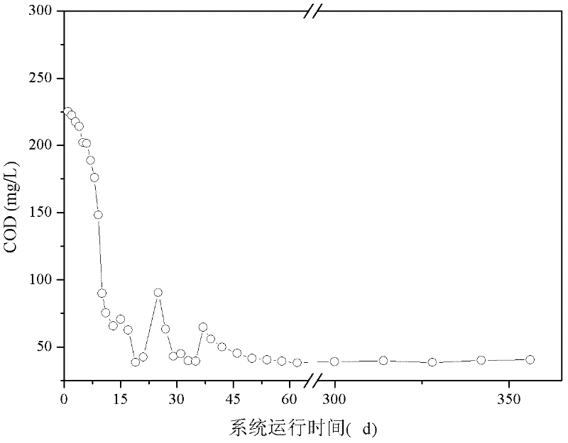 Spherical haydite matrix for constructed wetland and its preparation method