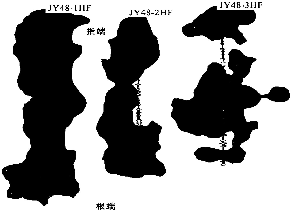 A geological characterization method for the stimulated volume of shale reservoirs