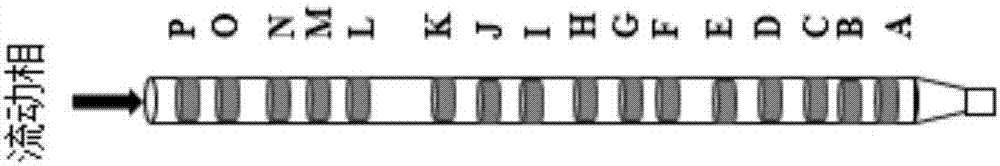 Triene mycin compound, preparation method and application thereof in treating prostatic cancer