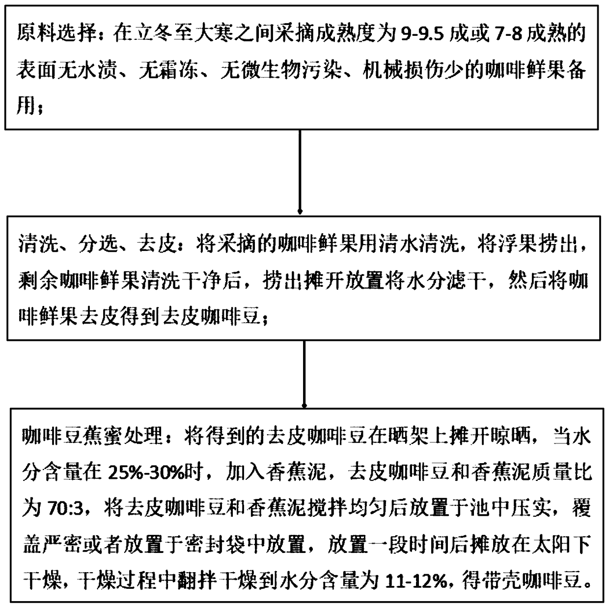 Banana and honey processing technology of coffea arabica beans