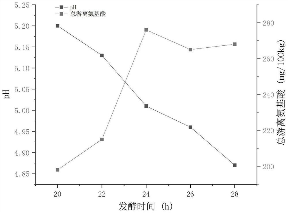 Fermented flavor dried horse meat slice and preparation method thereof