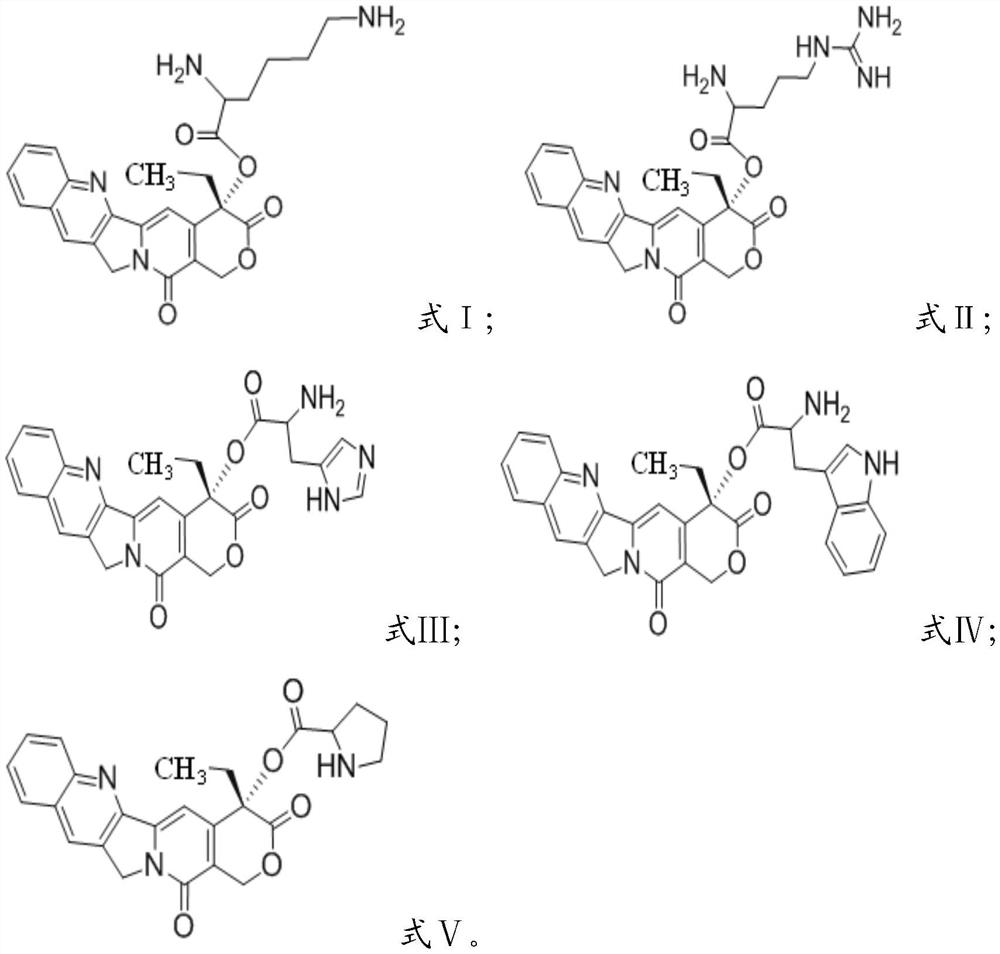 A kind of camptothecin prodrug based on cationic amino acid modification and its preparation method, nano drug-loaded particle and its application