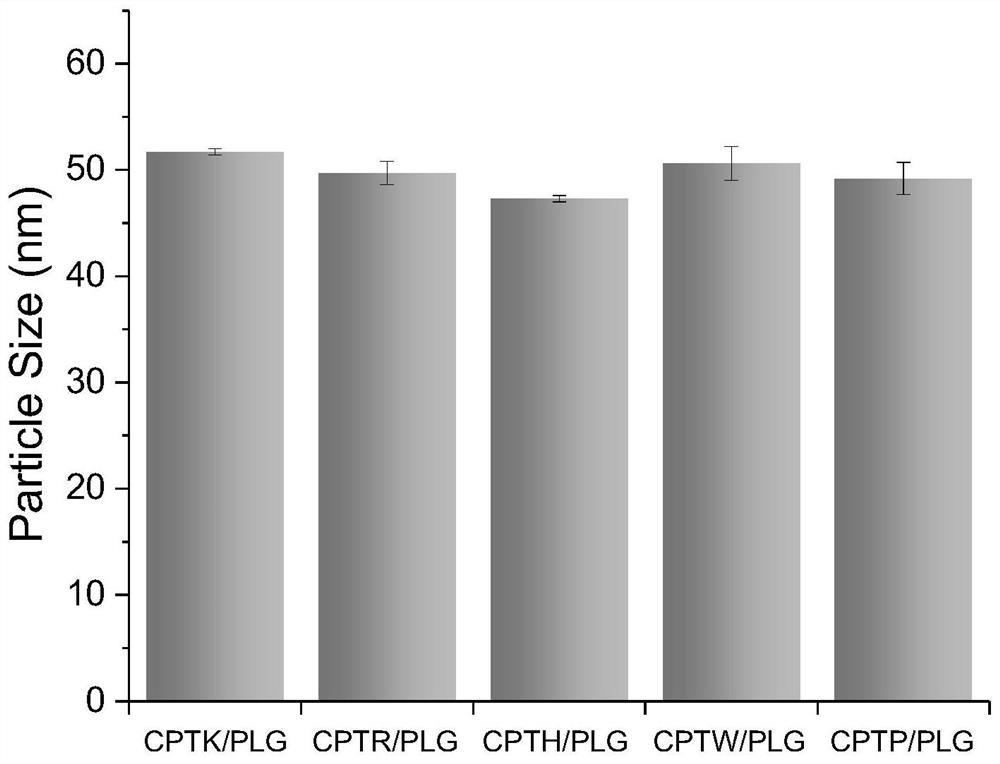 A kind of camptothecin prodrug based on cationic amino acid modification and its preparation method, nano drug-loaded particle and its application