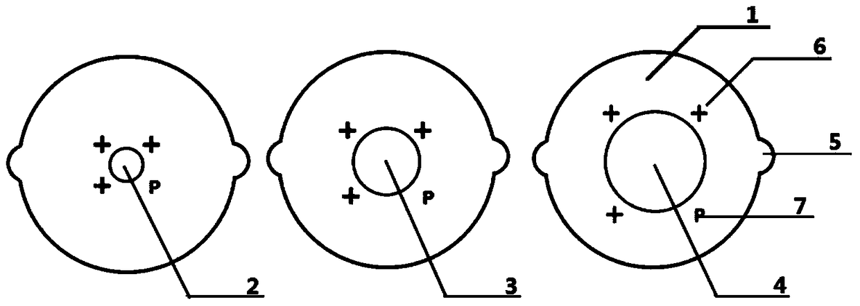 Slide combination for animal cell experiments