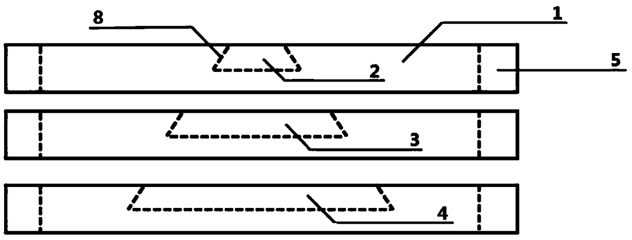 Slide combination for animal cell experiments