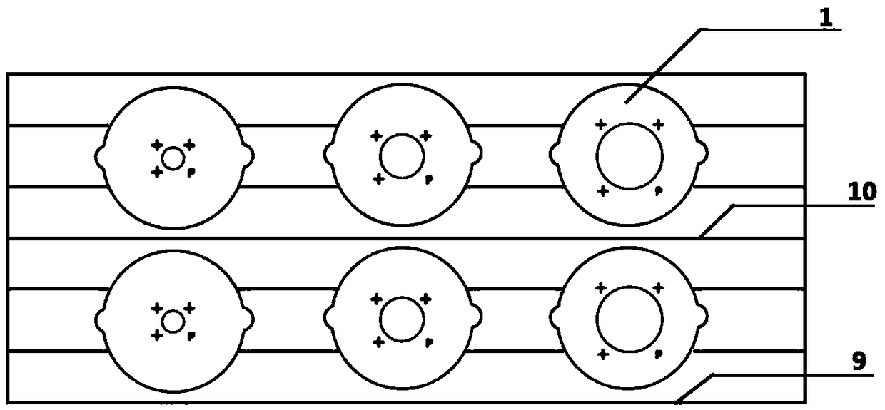 Slide combination for animal cell experiments