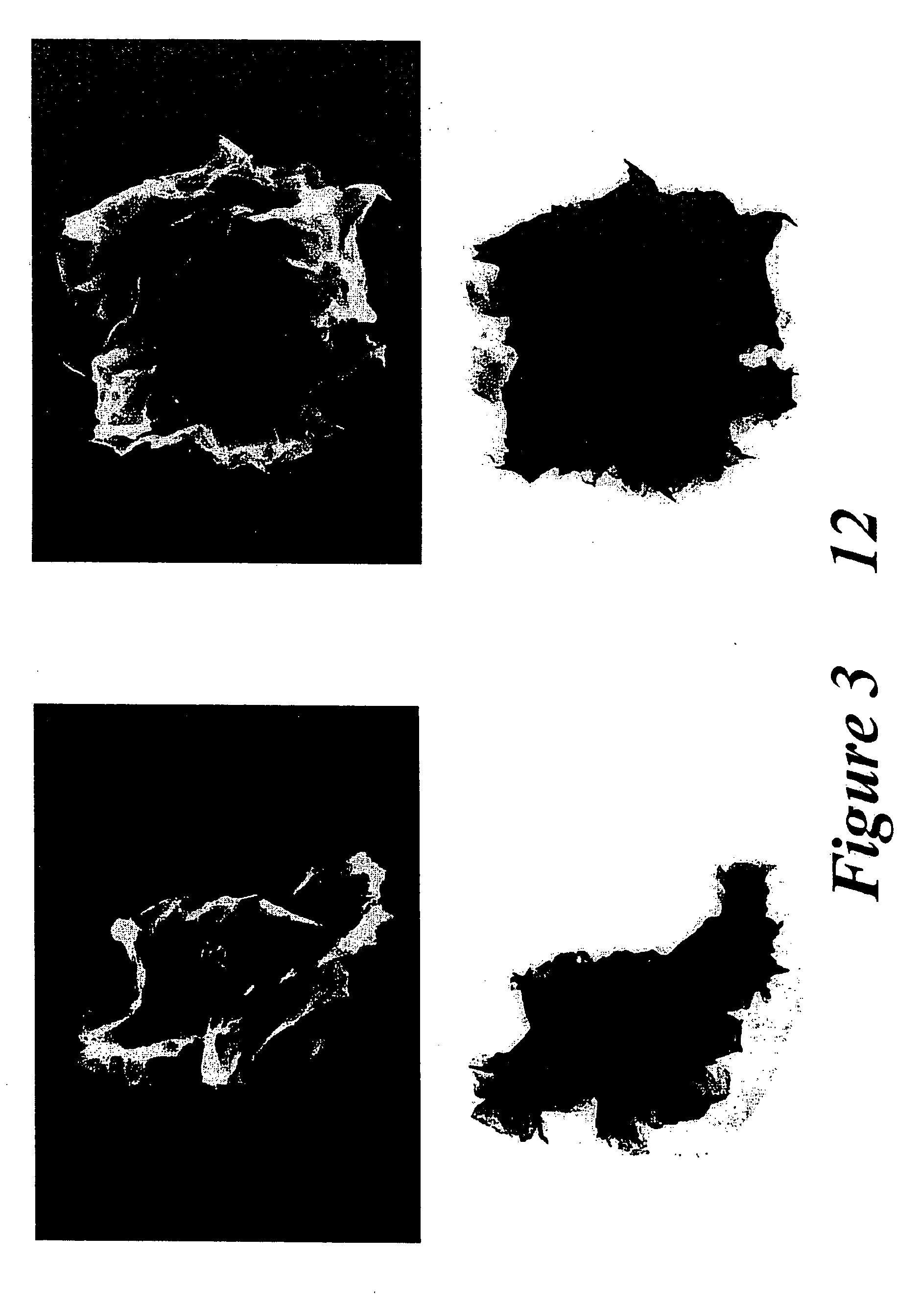 Novel hydrotalcites, syntheses, and uses