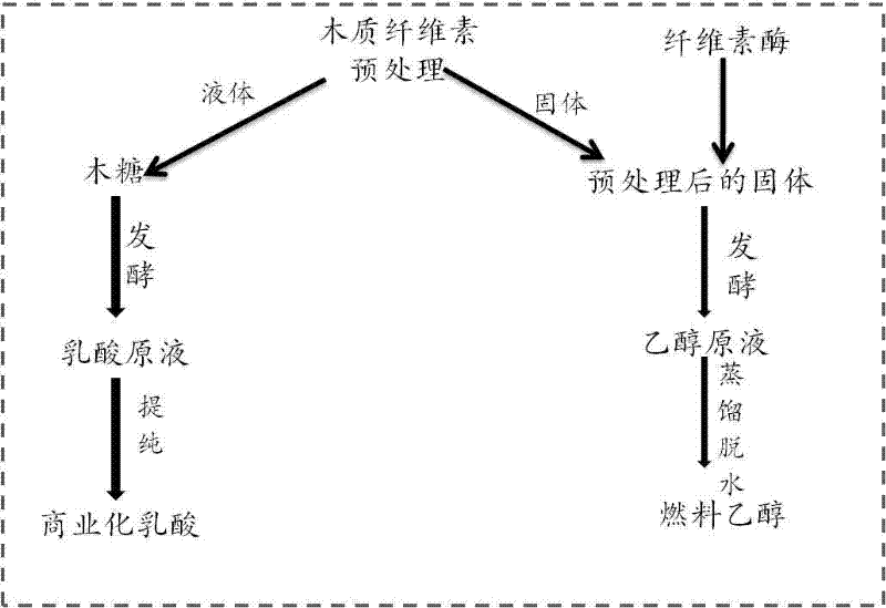 Method for co-production of lactic acid and alcohol by lignocellulose