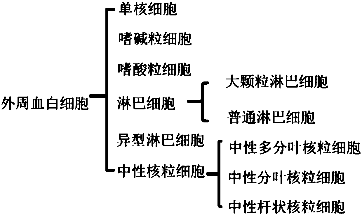 Neural network-based manually annotated white blood cell error calibration method and device