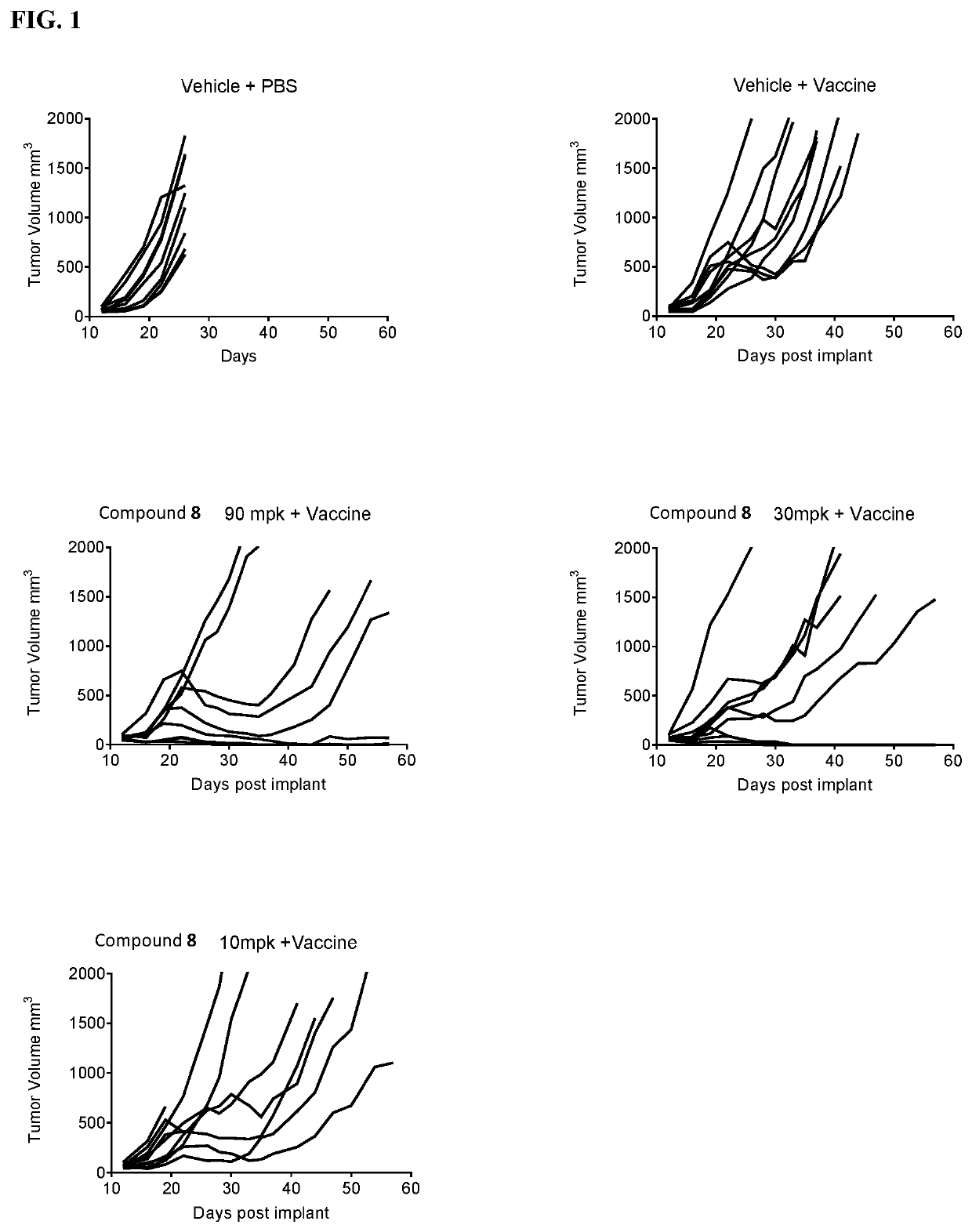 3-substituted piperidine compounds for Cbl-b inhibition, and use thereof