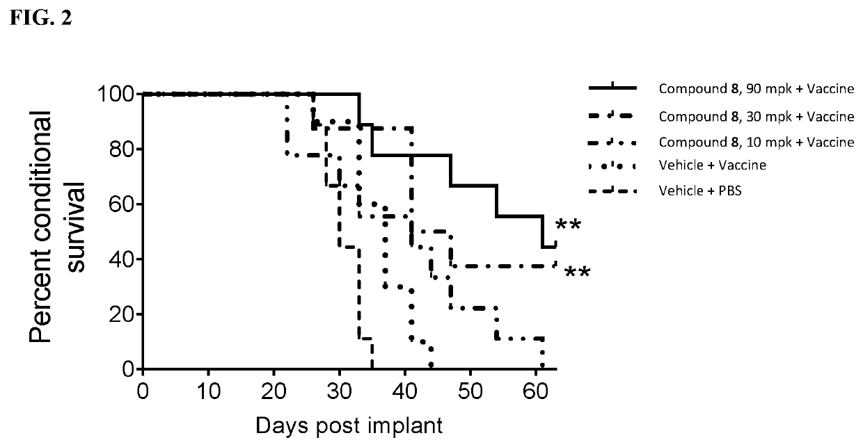 3-substituted piperidine compounds for Cbl-b inhibition, and use thereof