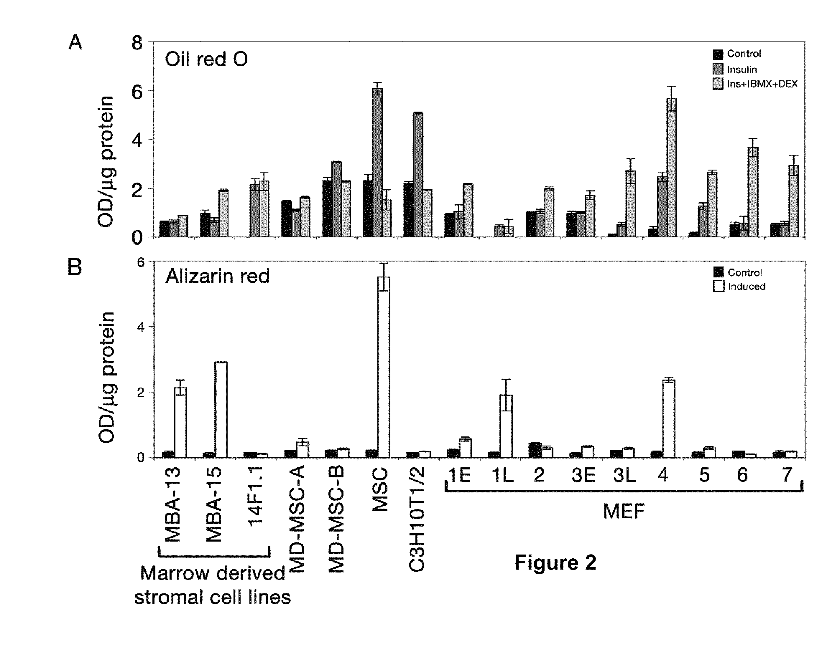 Method and assay for glycosylation pattern detection related to cell state of stem cells