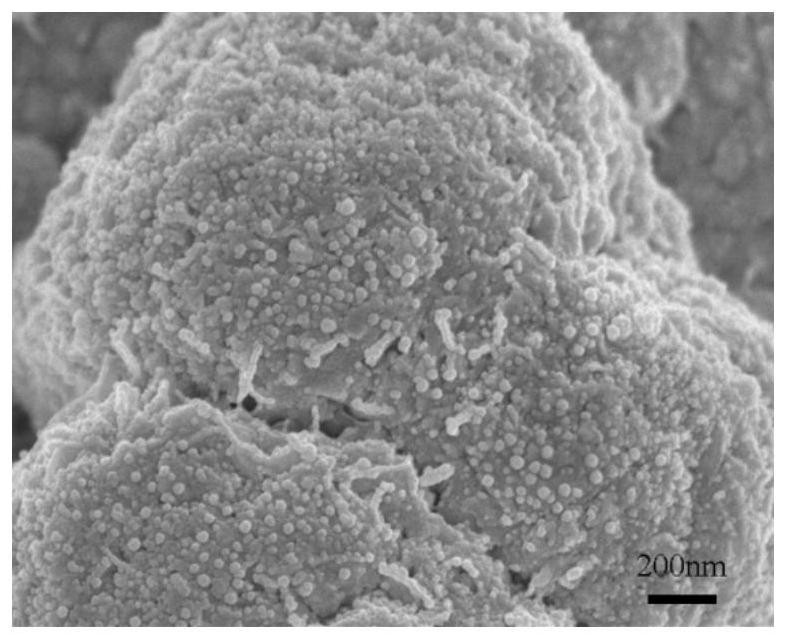 Anode catalyst material for direct borohydride fuel cell, anode material and preparation method thereof, and fuel cell