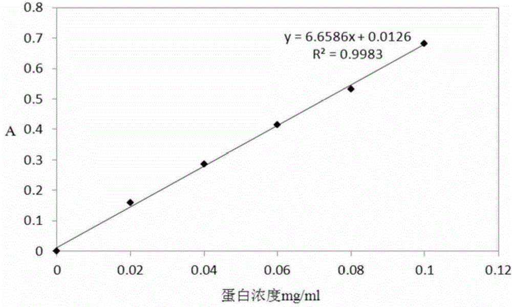 Method for immobilizing marine lipase Bohai Sea-9145 with magnetic Fe3O4@SiO2-NH2 nanoparticles